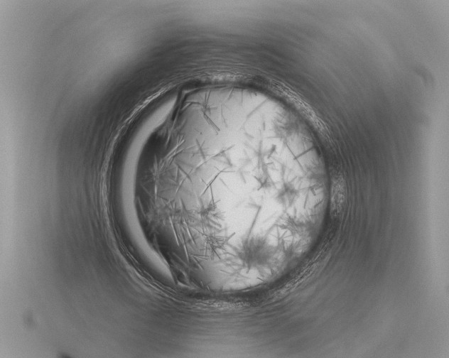 X0000115690722200912101153
