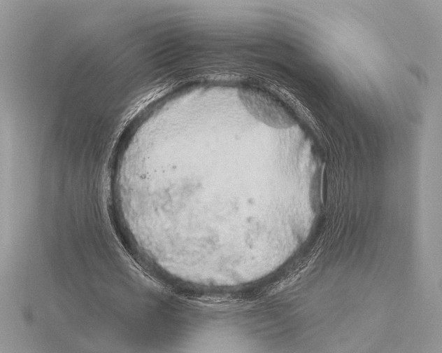 X0000115690725200912101153