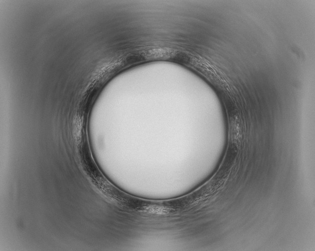 X0000115690742200912101153