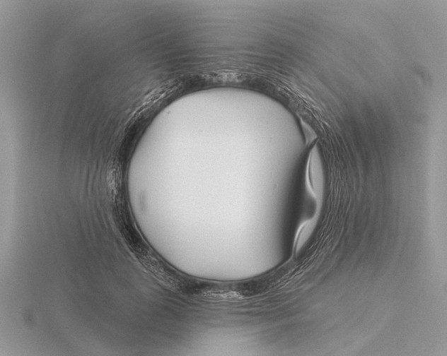 X0000115690747200912101153
