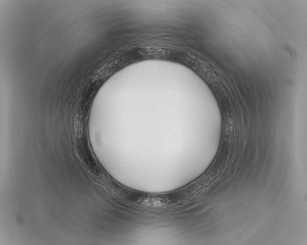 X0000115690751200912101153