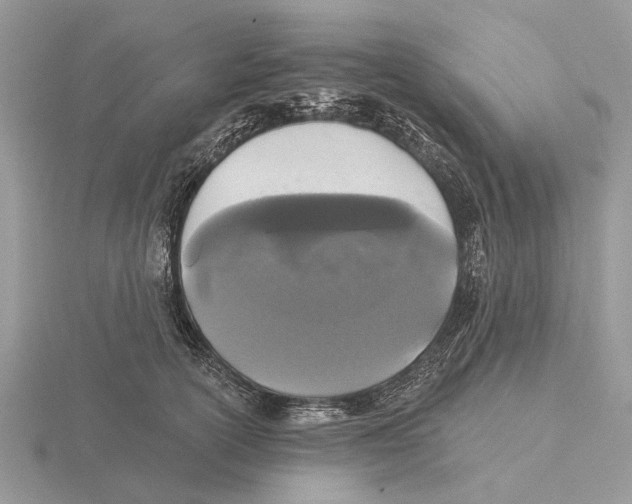 X0000115690754200912101153