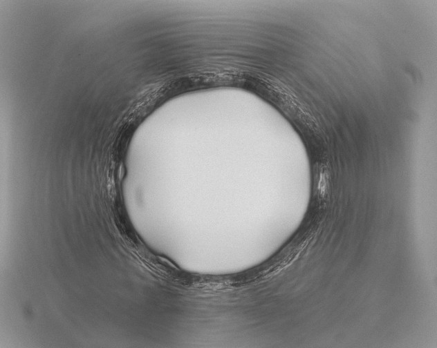 X0000115690771200912101153