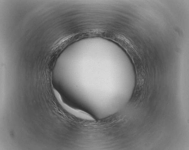 X0000115690773200912101153