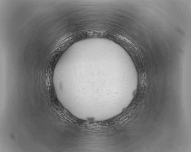 X0000115690774200912101153
