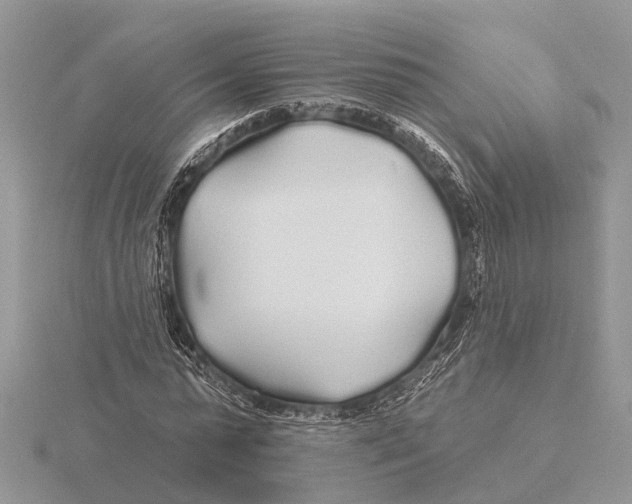 X0000115690775200912101153