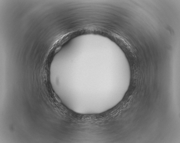 X0000115690776200912101153