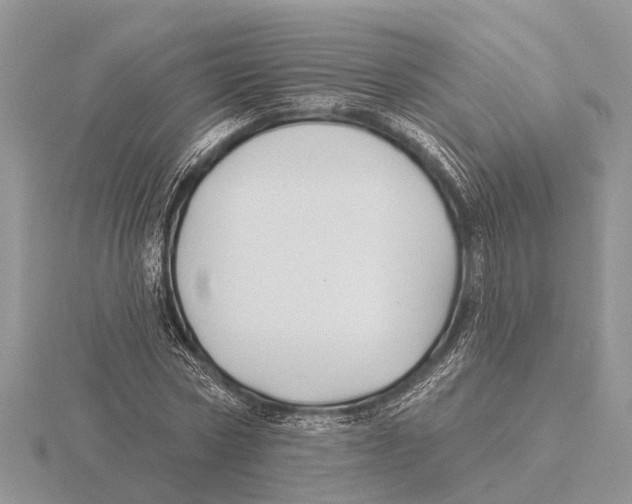 X0000115690778200912101153