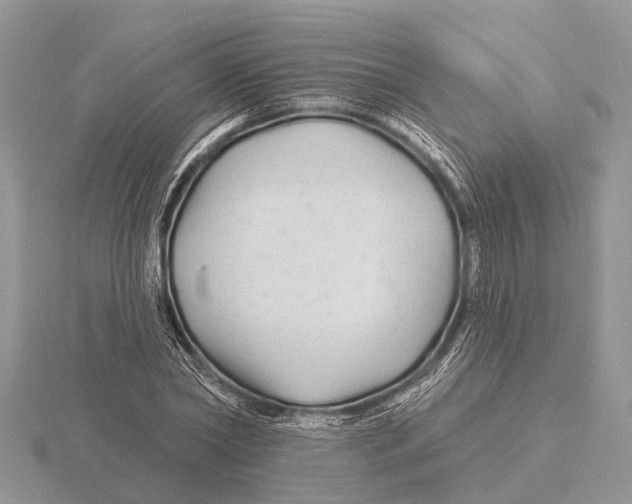 X0000115690782200912101153