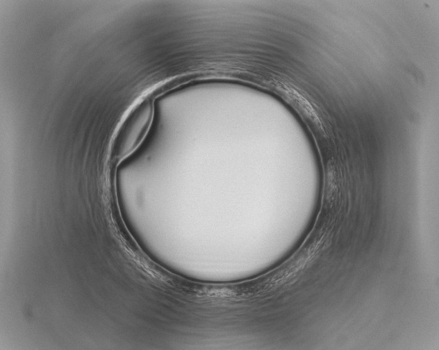 X0000115690784200912101153