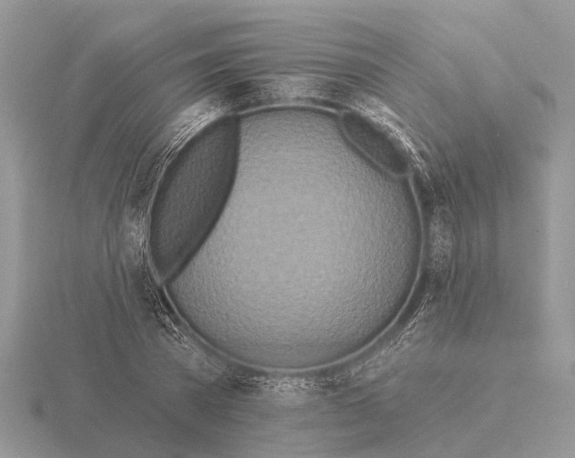 X0000115690785200912101153