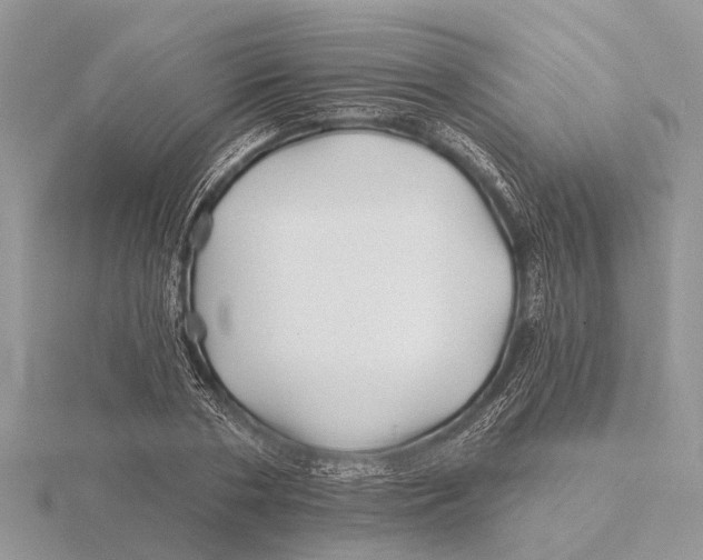 X0000115690786200912101153