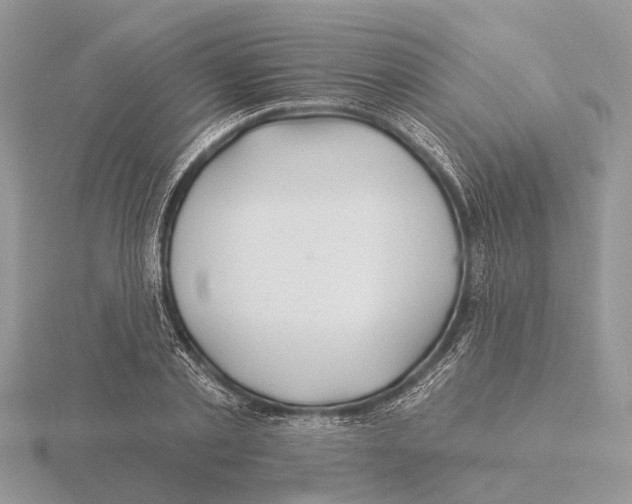 X0000115690789200912101153