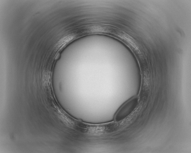 X0000115690793200912101153