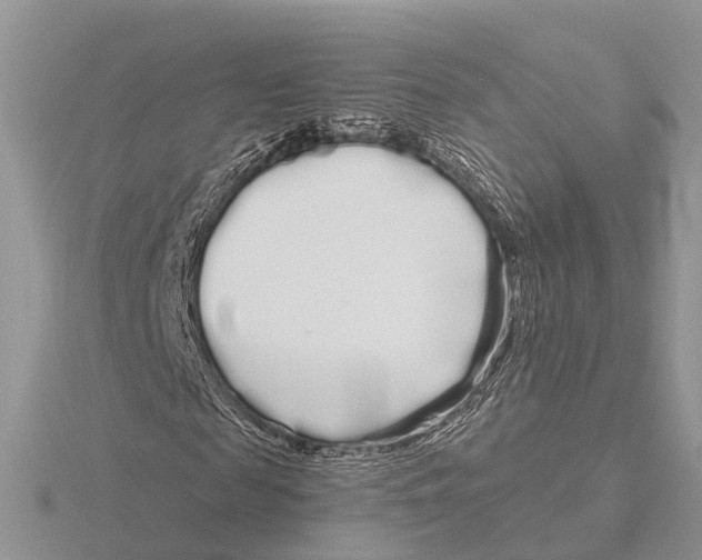 X0000115690817200912101152
