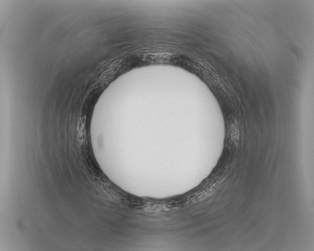 X0000115690818200912101152
