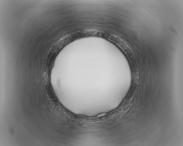 X0000115690821200912101152