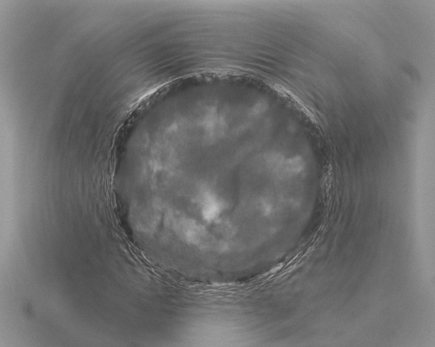 X0000115690822200912101152