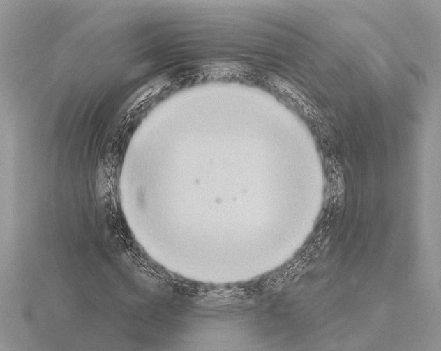 X0000115690824200912101152