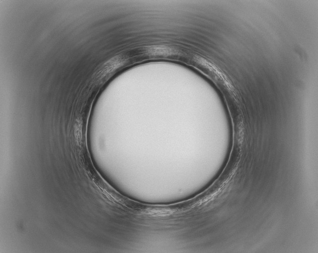 X0000115690825200912101152