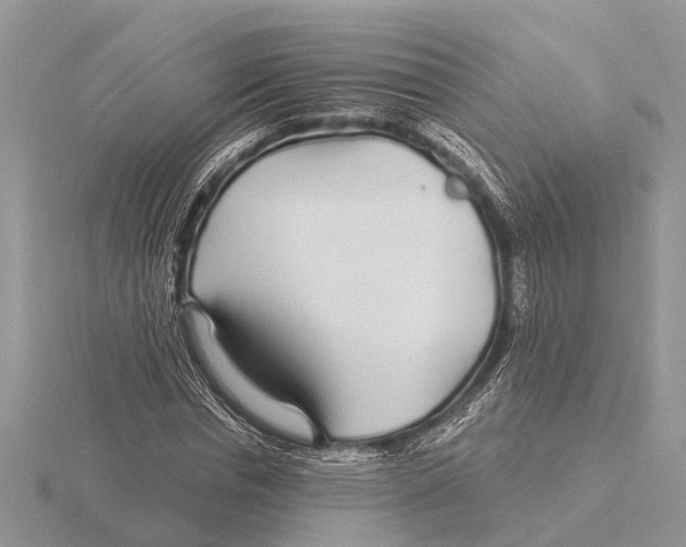 X0000115690826200912101152