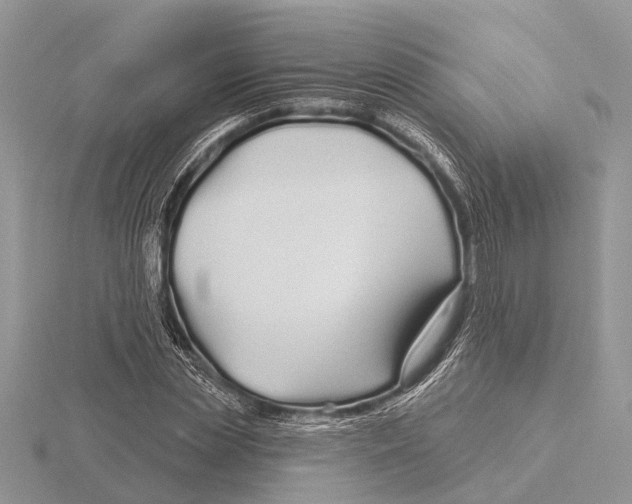 X0000115690829200912101152
