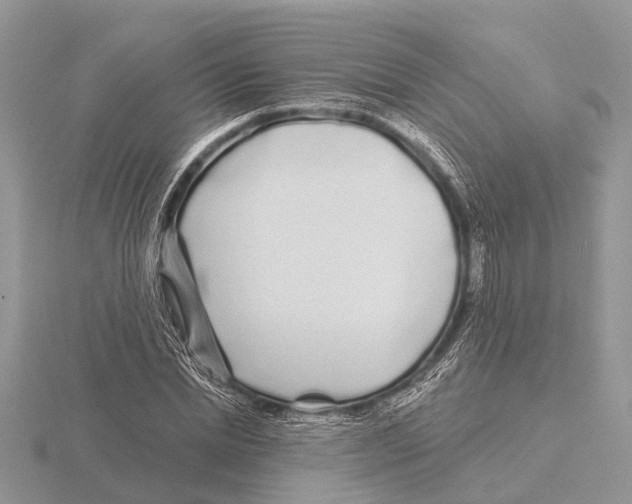 X0000115690830200912101152