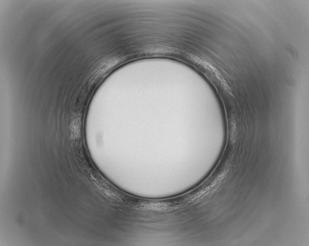 X0000115690833200912101152