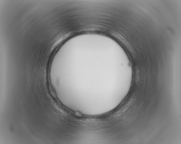 X0000115690834200912101152