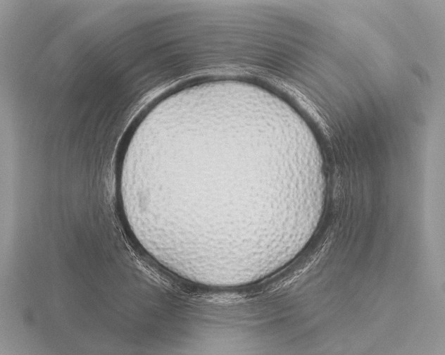 X0000115690837200912101152