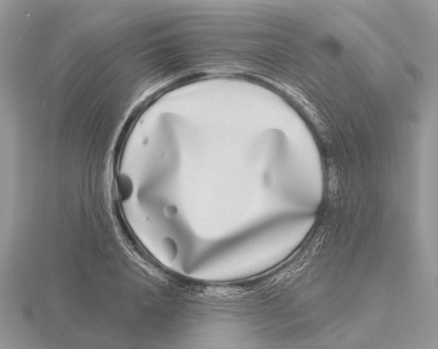 X0000115690840200912101152