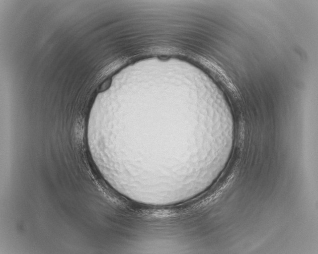 X0000115690841200912101152