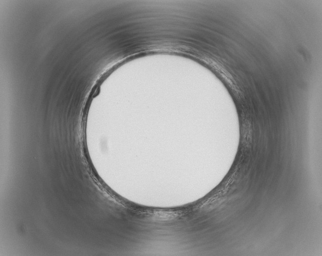 X0000115690848200912101152