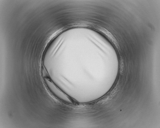 X0000115690850200912101152