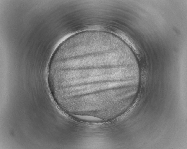 X0000115690854200912101152