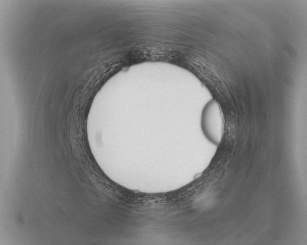 X0000115690865200912101152