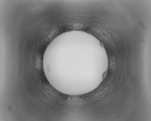 X0000115690866200912101152