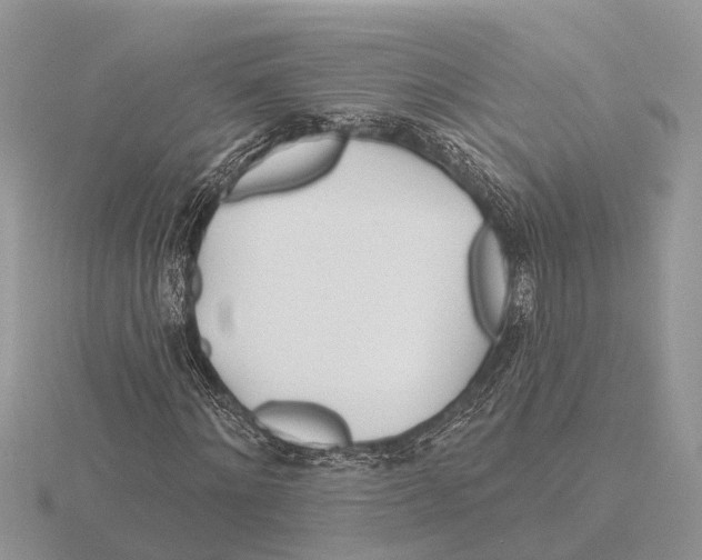 X0000115690868200912101152