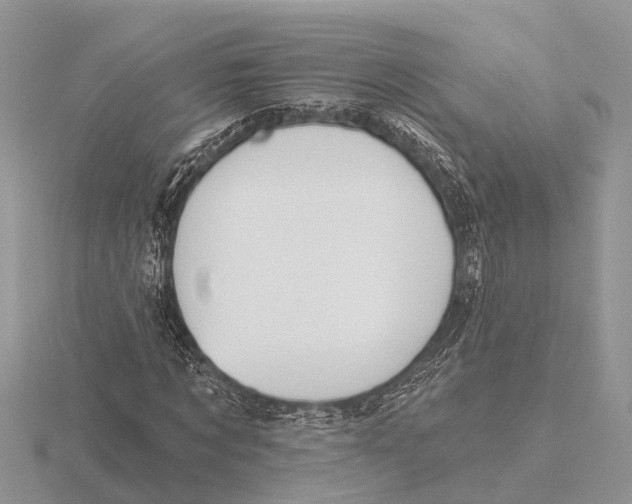 X0000115690869200912101152