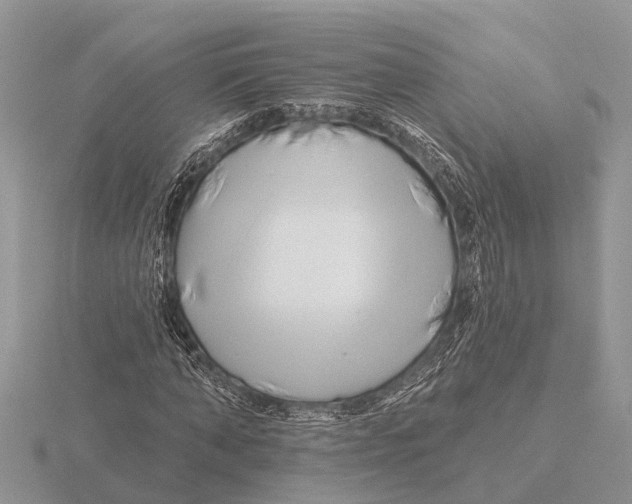 X0000115690870200912101152