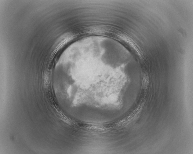 X0000115690874200912101151