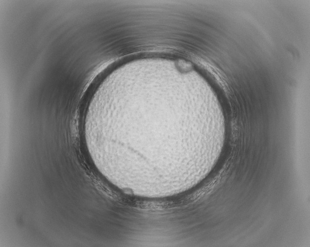 X0000115690875200912101151
