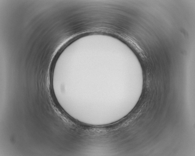 X0000115690888200912101151