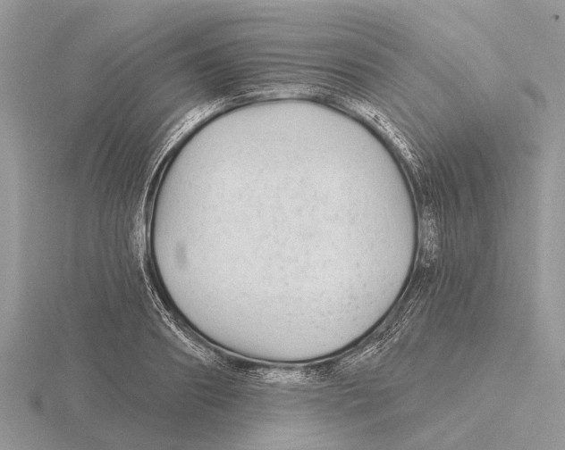 X0000115690890200912101151