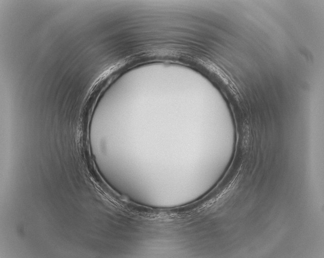 X0000115690922200912101150