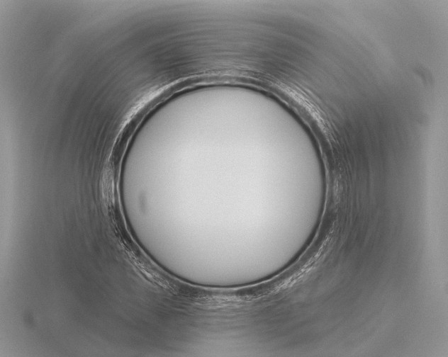 X0000115690925200912101150