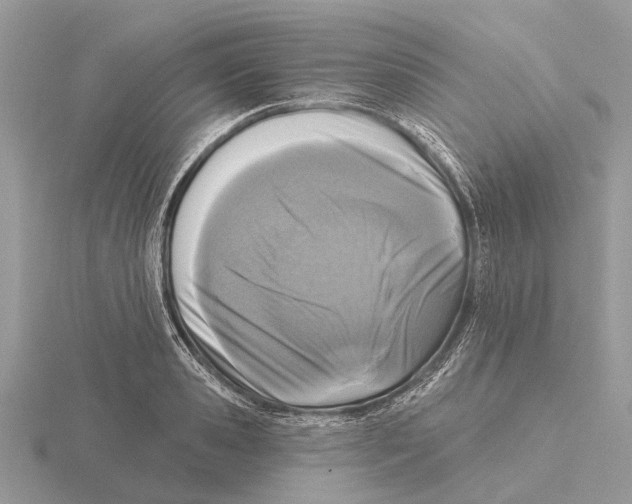 X0000115690941200912101151