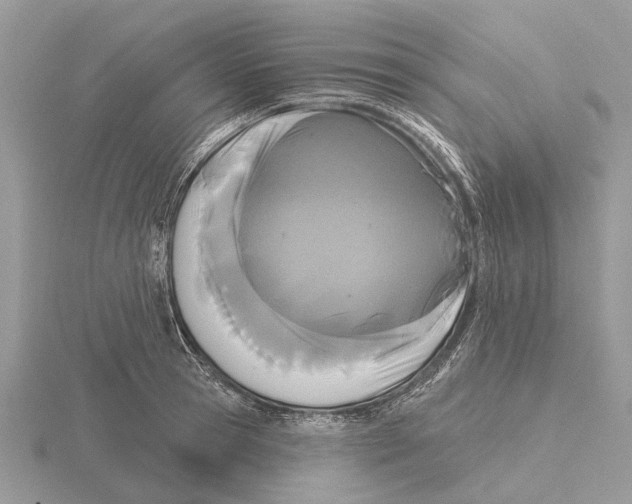 X0000115690945200912101151