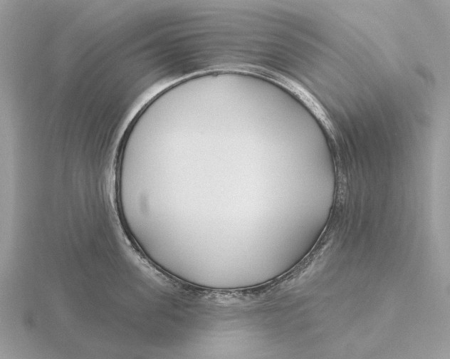 X0000115690955200912101151