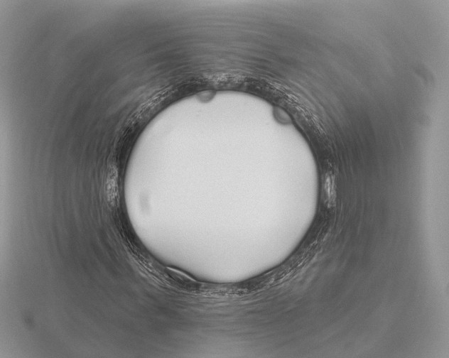 X0000115690963200912101150